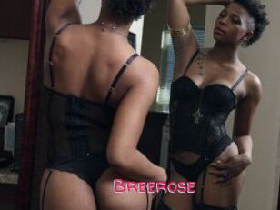 Breerose