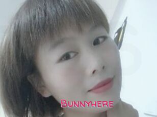 Bunnyhere