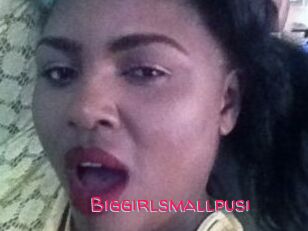 Biggirlsmallpusi