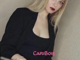 CariBois