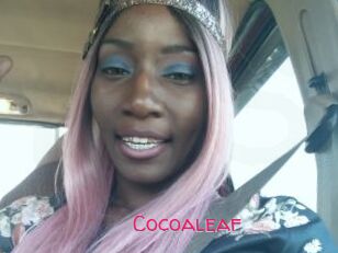 Cocoaleaf