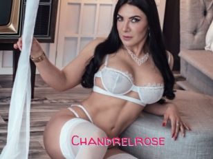 Chandrelrose