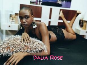 Dalia_Rose