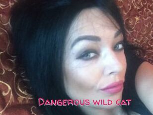 Dangerous_wild_cat