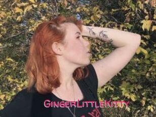 GingerLittleKitty