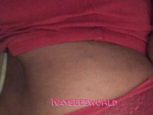 Kayseesworld