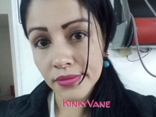 KinkyVane