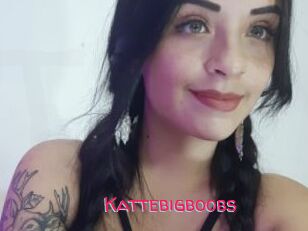 Kattebigboobs