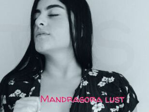 Mandragora_lust