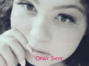 Opay_Skye