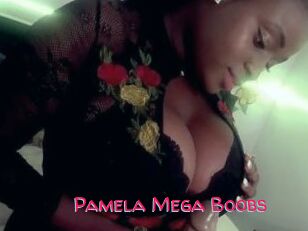 Pamela_Mega_Boobs