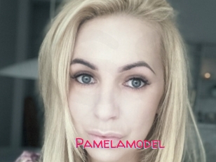 Pamelamodel