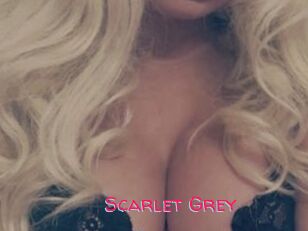 Scarlet_Grey