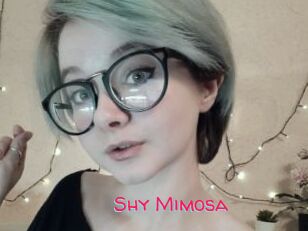 Shy_Mimosa