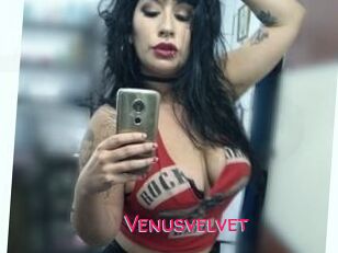 Venusvelvet